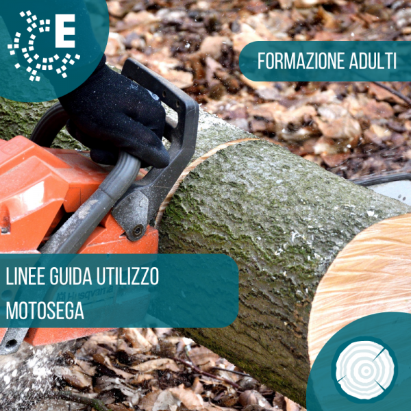 ANTEPRIME utilizzo della motosega